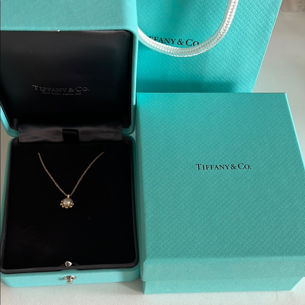 Tiffany & Co. Olive Leaf Necklace